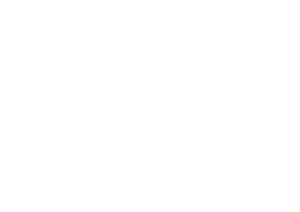 Logo RFX